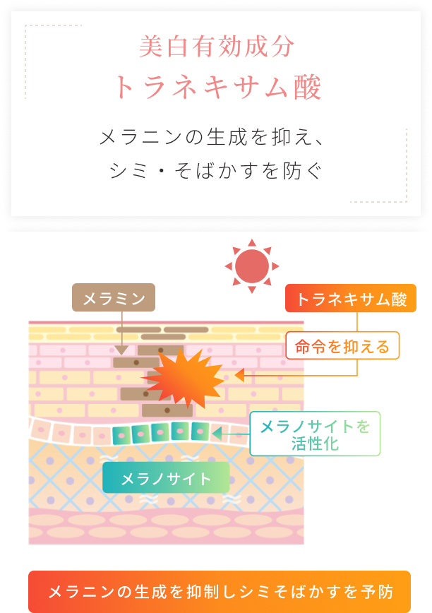 ポイント2　化粧品画像