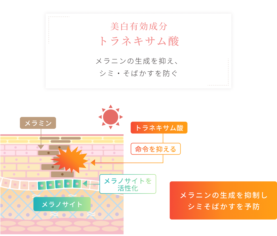 ポイント2　化粧品画像