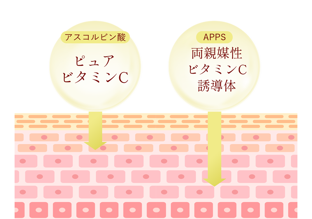 ポイント1　化粧品画像