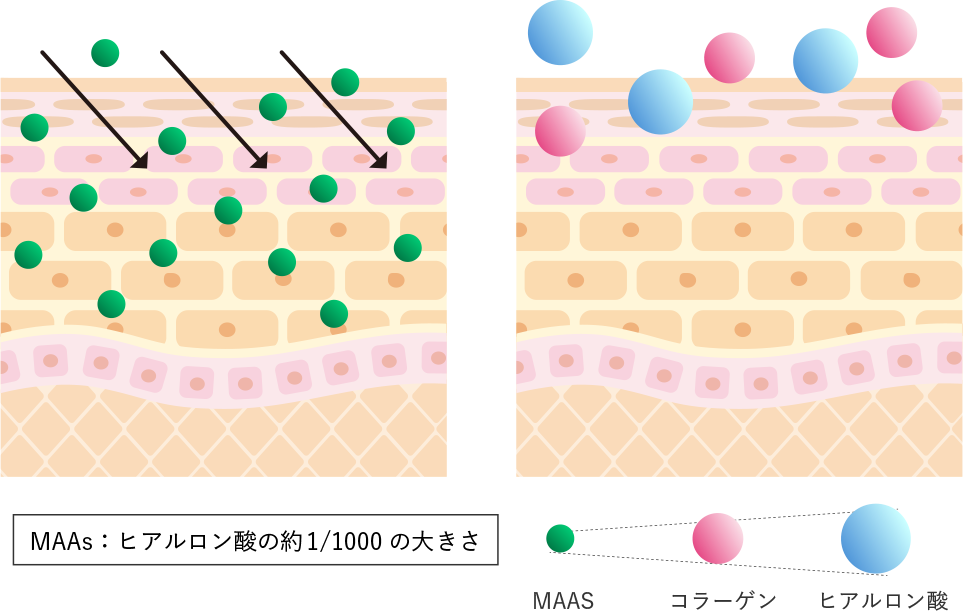 ポイント2　化粧品画像