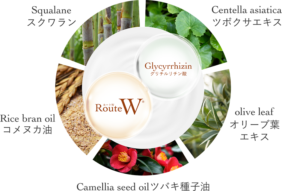 ポイント3　化粧品画像